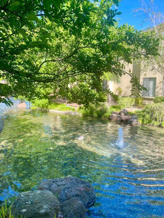A small pond with a fountain in the middle surrounded by rocks and trees.