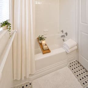 A white bathroom with a tub, towel, and plant.