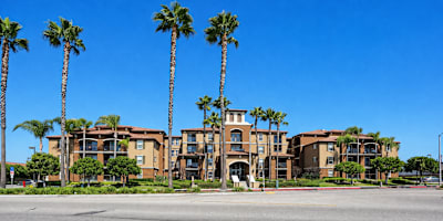 A row of palm trees in front of a building.