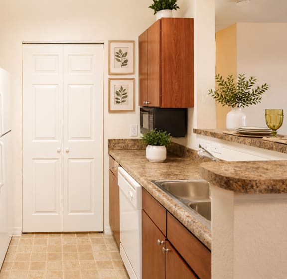 Kitchen at Belleair Place Apartments in Clearwater FL