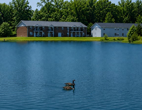 our resort style swimming pool is next to our building with lounge chairs