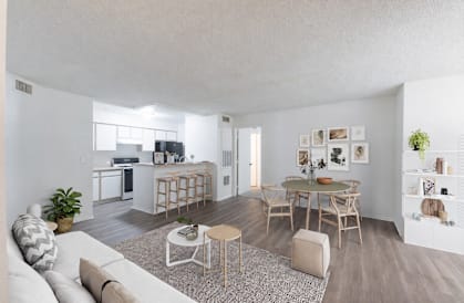 A living room with a white couch and a grey rug.