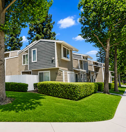 A row of houses with green trees in front.
