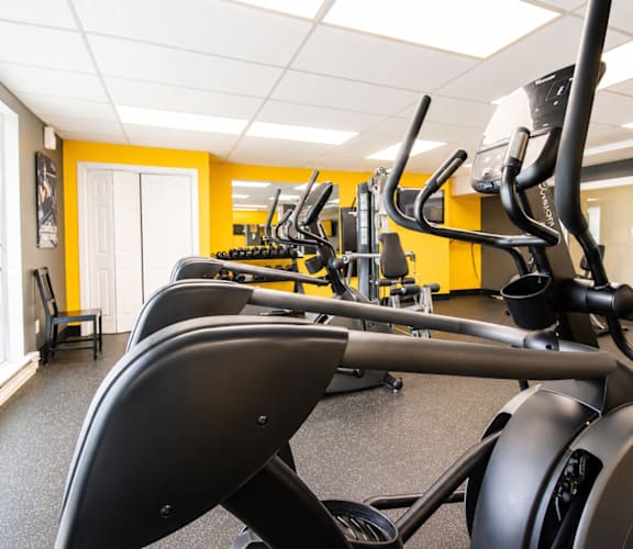 A gym with a row of stationary bikes.