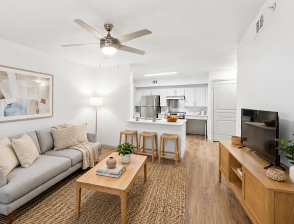 A living room with a grey couch, a coffee table, and a television.