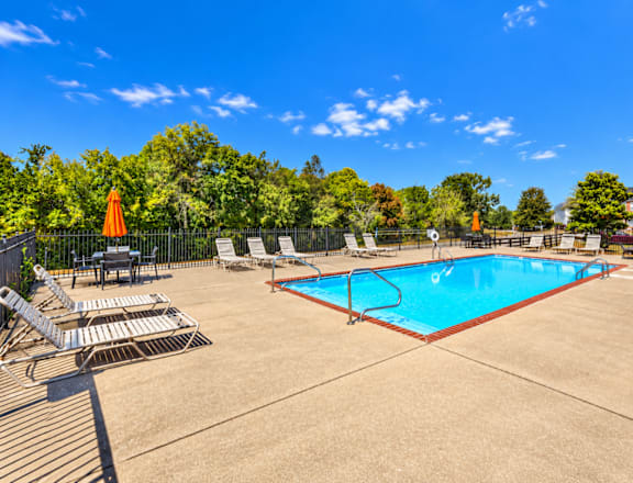 A swimming pool surrounded by lounge chairs and trees.
