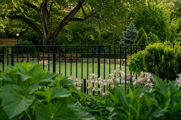A black fence with green plants in the foreground.