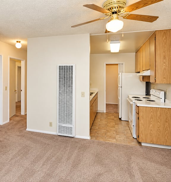 A living room with a fan and a kitchen area in the background.