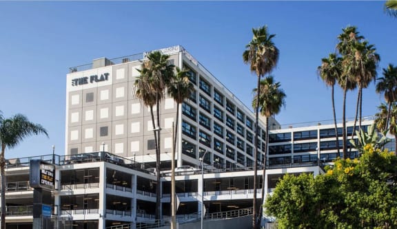 a tall building with palm trees in front of it at The Flat in California 90017
