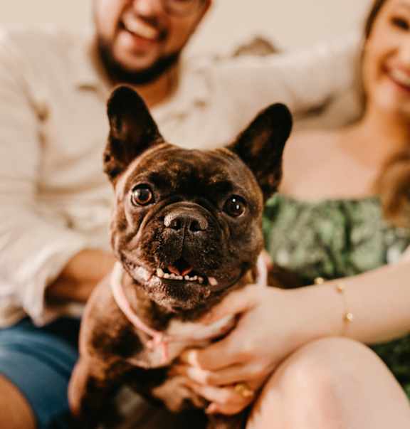 A man and woman are sitting on a couch holding a small dog.