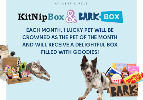 A poster advertising a KitNipBox & BARK BOX subscription for pets.