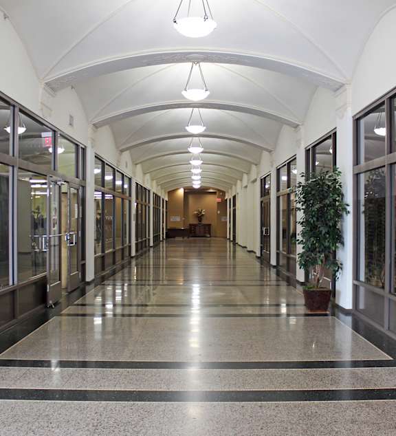 A long hallway with a plant on the right side.