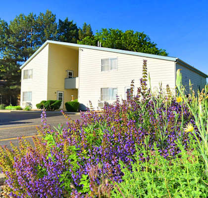 A yellow building with purple flowers in front.