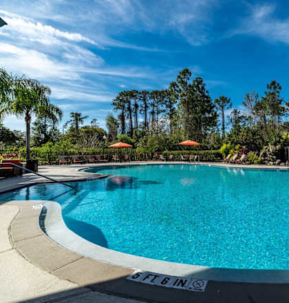 Super Pool with Rock Grotto and Waterfall - Paradise Island at Paradise Island, Jacksonville, FL