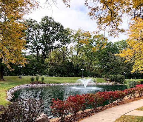 pond