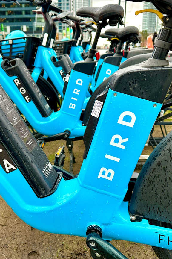 A blue bicycle with the word BIRD written on it.