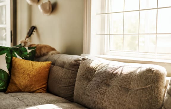 A dog is sitting on a couch with a yellow pillow.