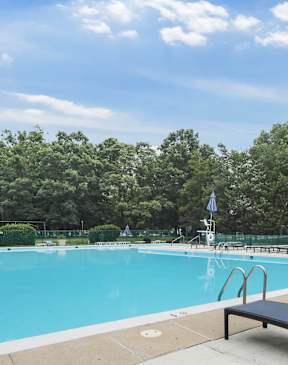 A large outdoor swimming pool with sun loungers and trees in the background.