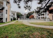 Thumbnail 1 of 15 - Image of courtyard with apartments and pool