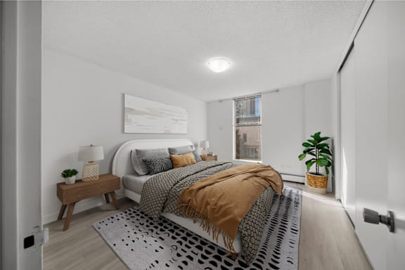 a bedroom with a bed and a rug