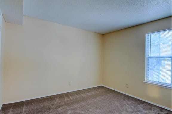 Image of large carpeted room