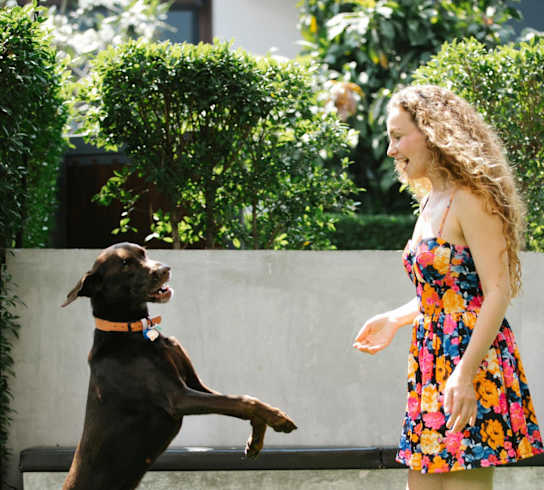 a woman standing next to a dog standing on its hind legs
