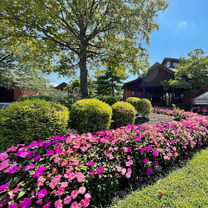 a row of pink flowers in front of a house
