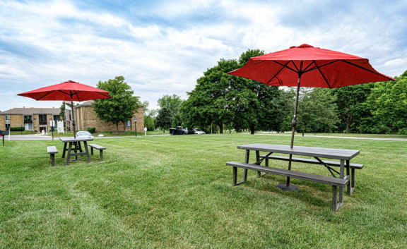 A red umbrella is in the foreground of a grassy area.