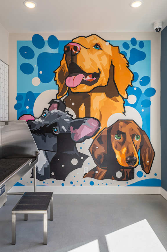 Pet Spa at Sage Springs, Kentucky, 42710