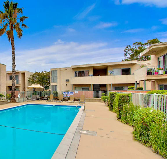 A swimming pool in front of a building with a palm tree.