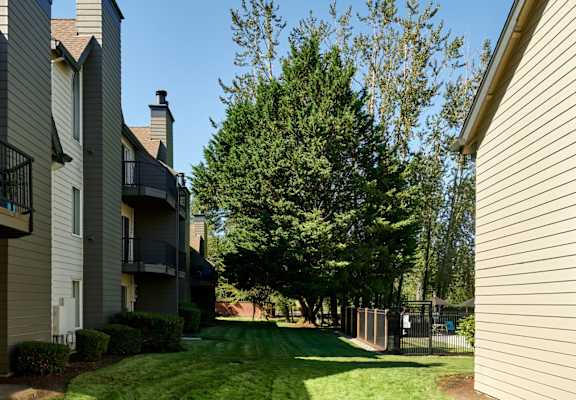 our apartments offer a spacious yard for residents to enjoy