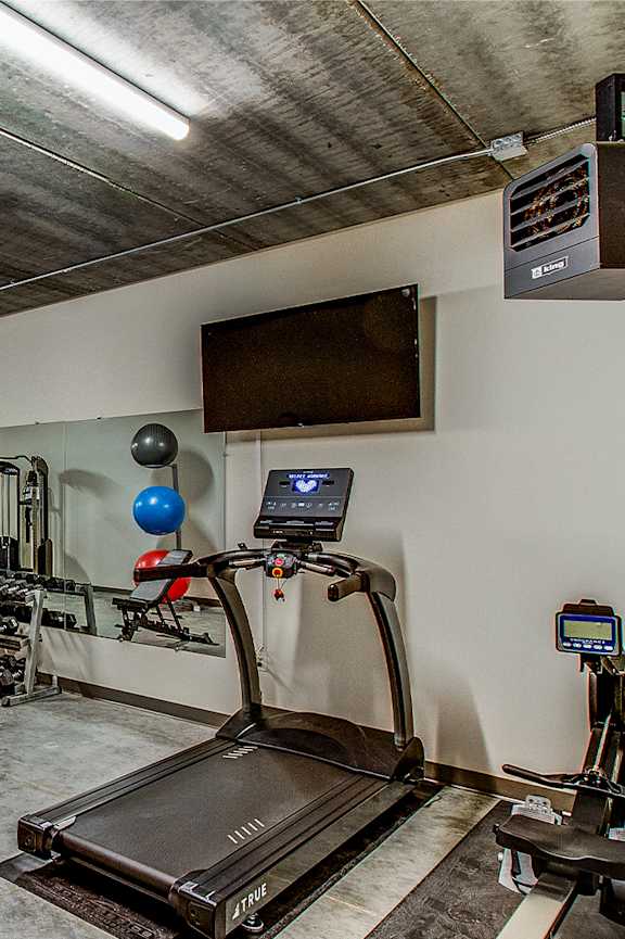 A gym with a treadmill, weights, and exercise balls.