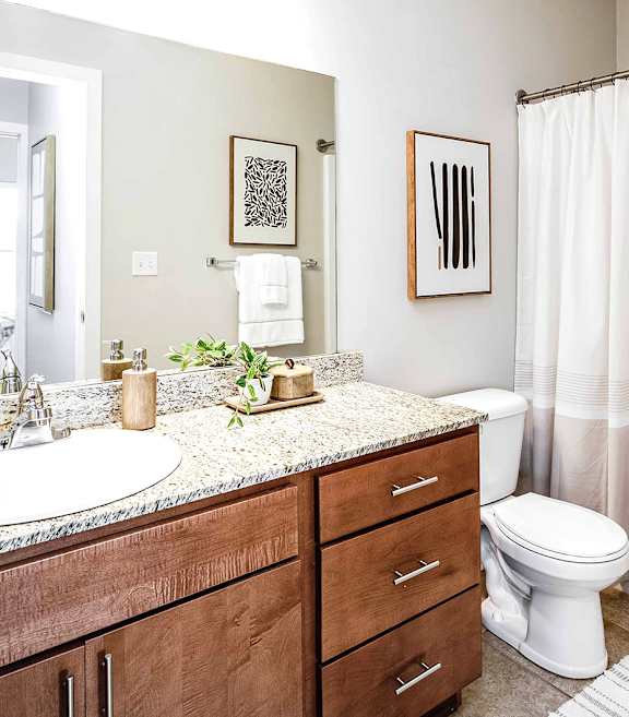 a bathroom with a sink and a toilet