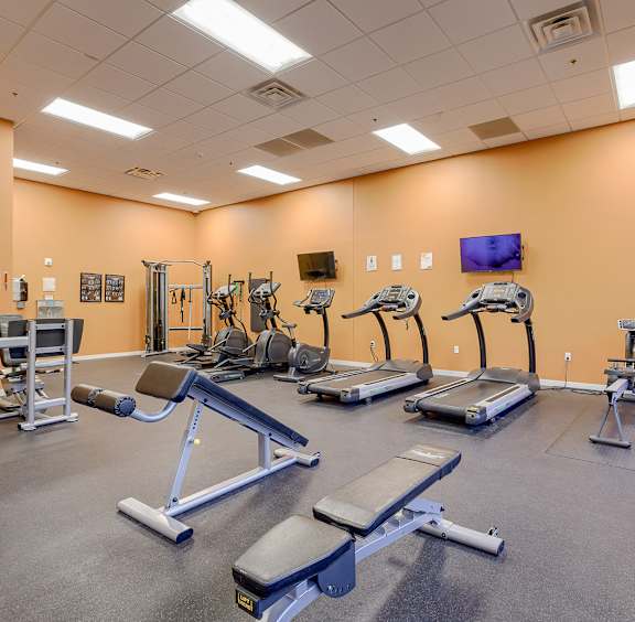 A gym with a variety of equipment including treadmills, weight machines, and benches.