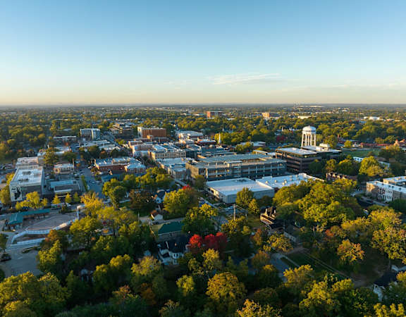 A cityscape with a large building in the center and trees surrounding it.