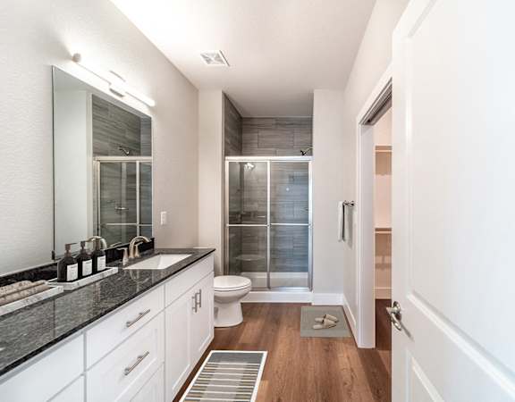 A modern bathroom with a walk-in shower and a toilet.
