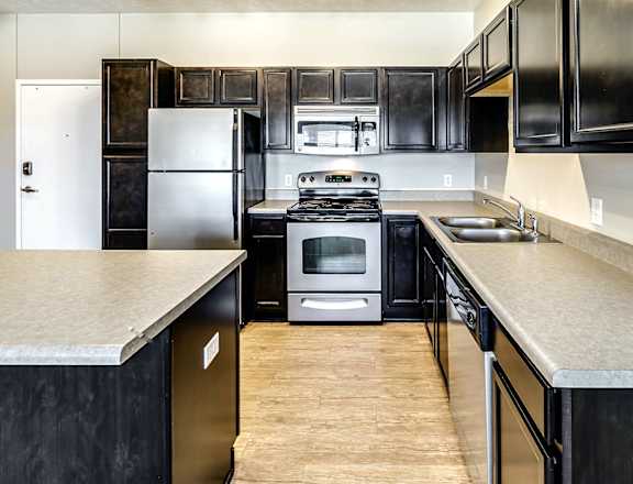 a kitchen with black cabinets and stainless steel appliances