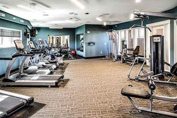 a gym with cardio equipment and weights on the floor