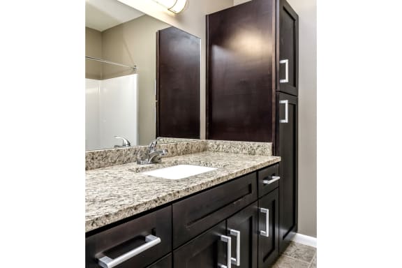 Large bathroom vanity with dark cabinets  at The Apartments at Lux 96 in Papillion, NE
