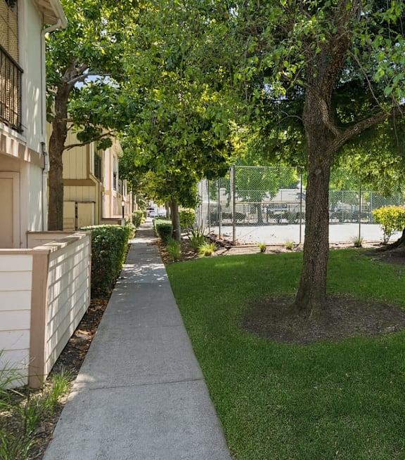 A tree in a grassy area next to a sidewalk.