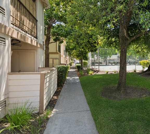 Lush Green Outdoor Space at Camino Creek, ROHNERT PARK