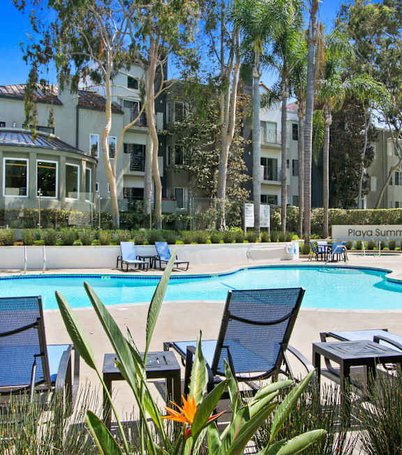 A pool surrounded by chairs and trees with a building in the background at Playa Summit, Los Angeles, CA