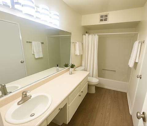 A bathroom with a sink, mirror, toilet, and shower.