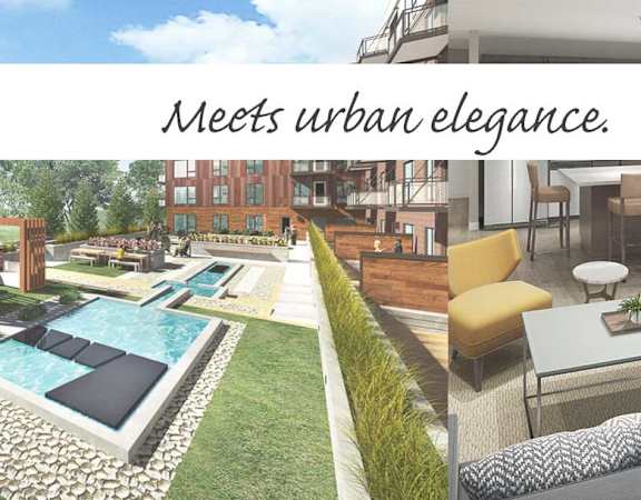 The Preserve at Normandale Lake unit interiors and zen garden