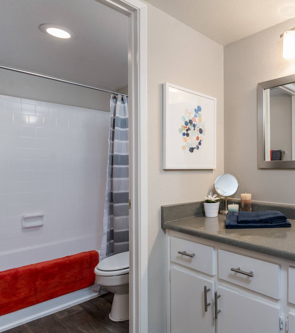 Apartment bathroom — representative home at The Naya Apartments.