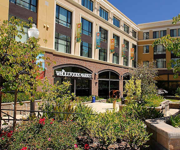 A Whole Foods Market is surrounded by greenery and plants.