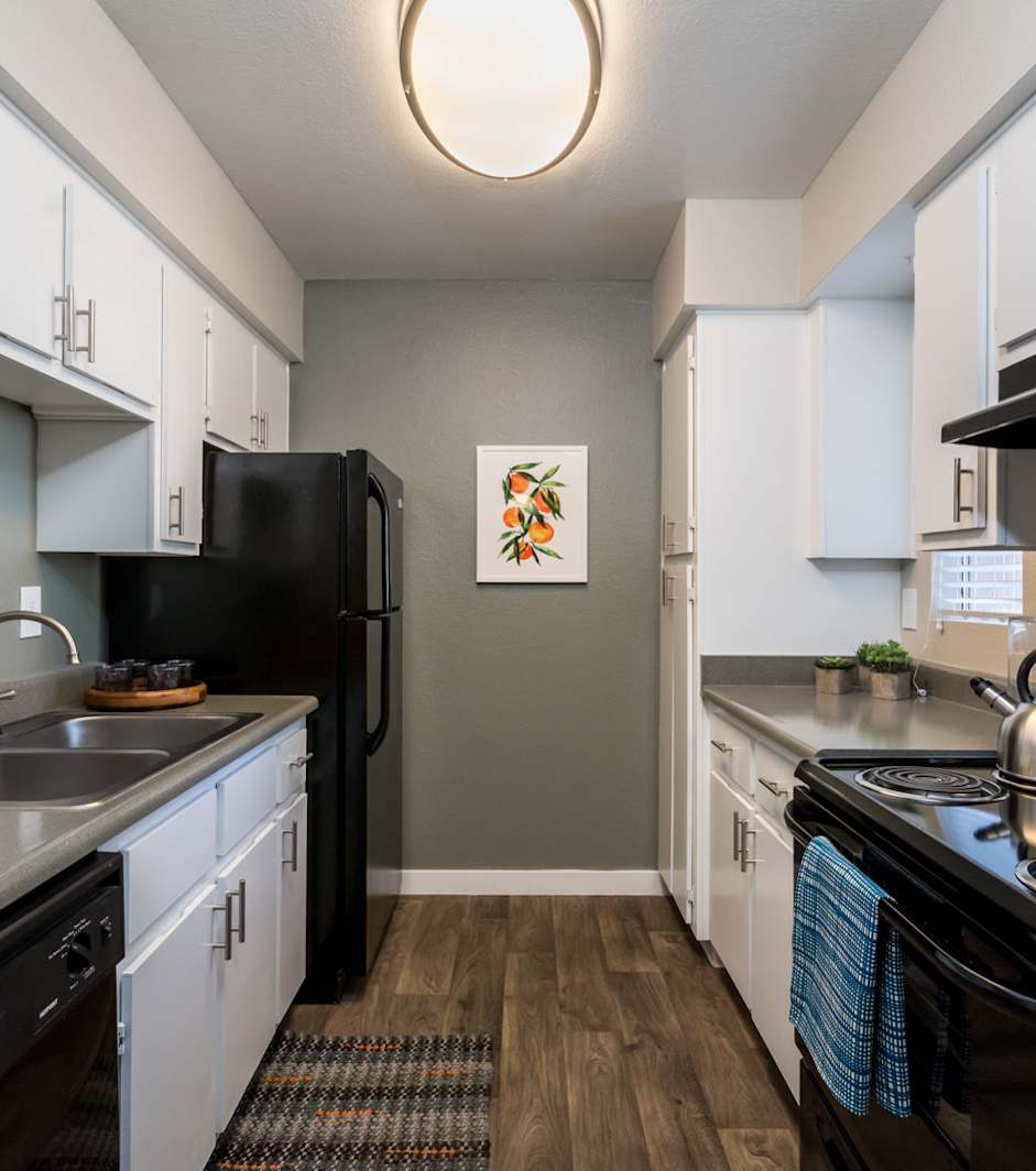 Apartment kitchen — representative home at The Naya Apartments.