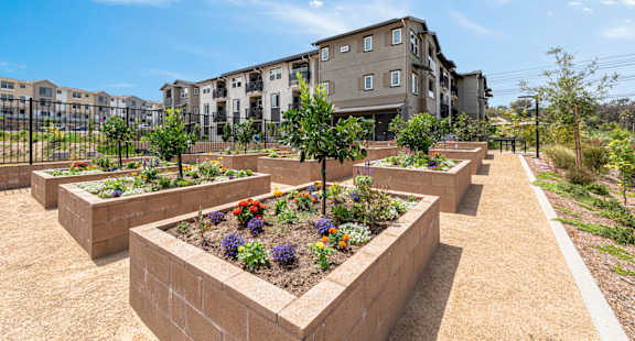 A garden with a brick planter box in the foreground and apartment buildings in the background.