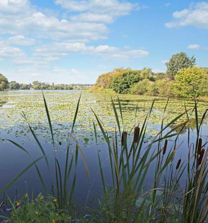 Lake at Beach South at the Lake, Robbinsdale
