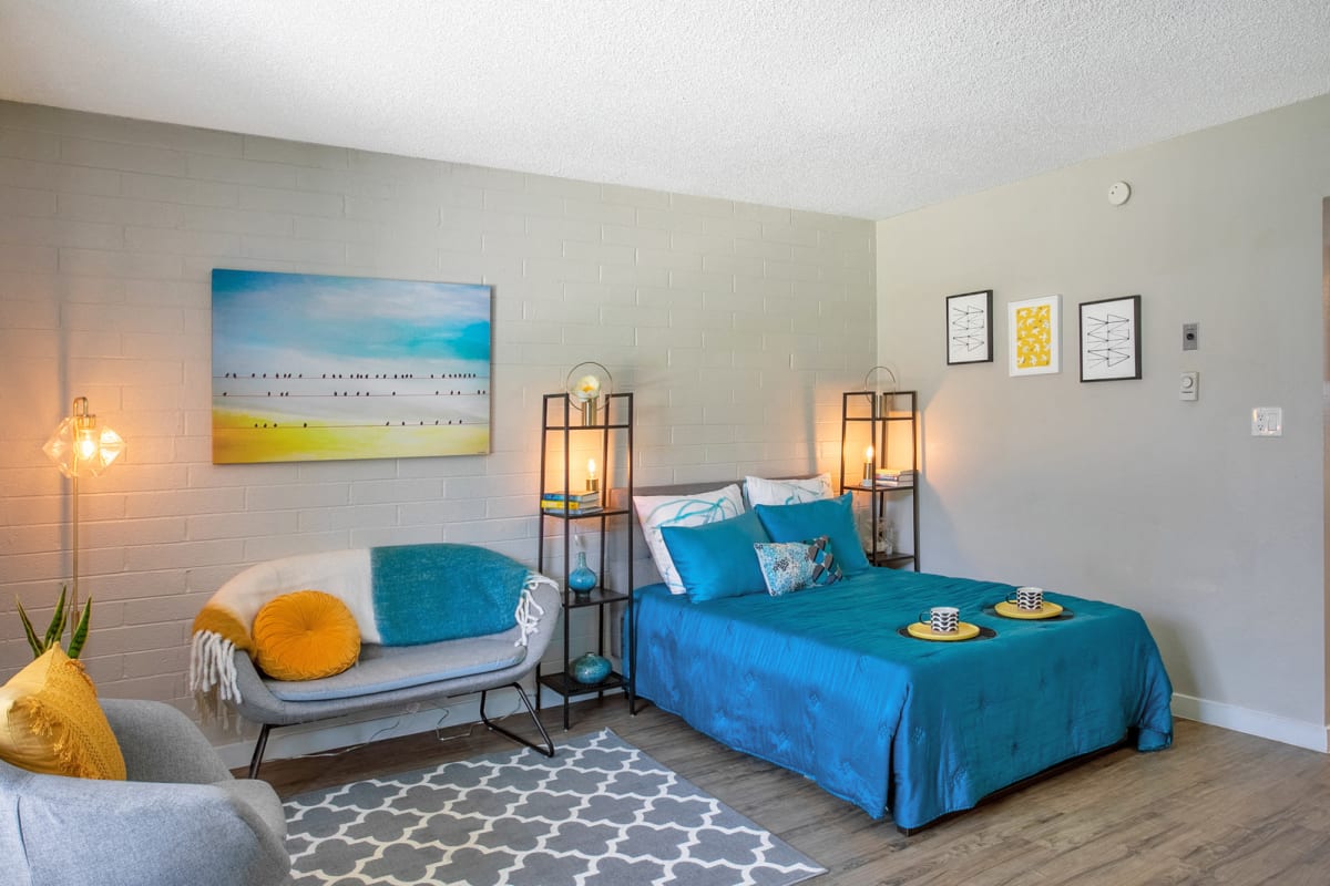 Photos and Video of Omnia on Thomas in Phoenix, AZ